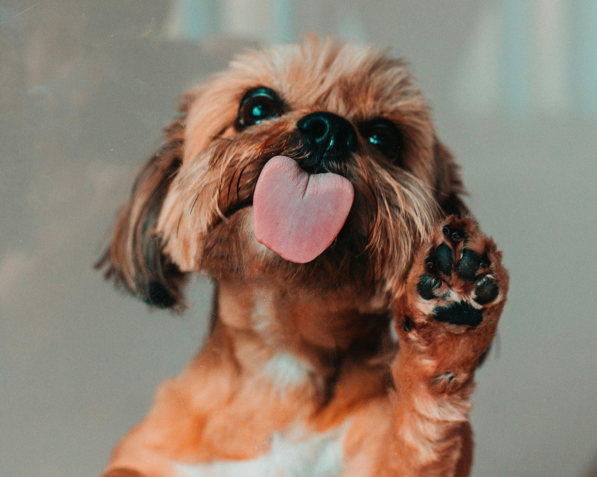 The After-Walk Routine Nobody Talks About.