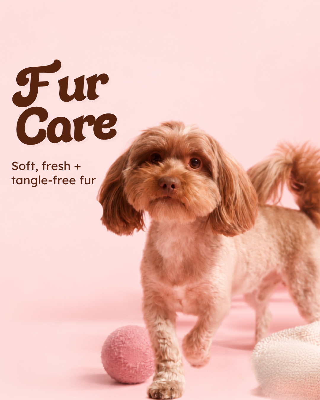 Fur Care